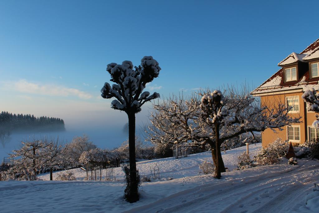 Gaestehaus Schloss Kronburg Eksteriør billede